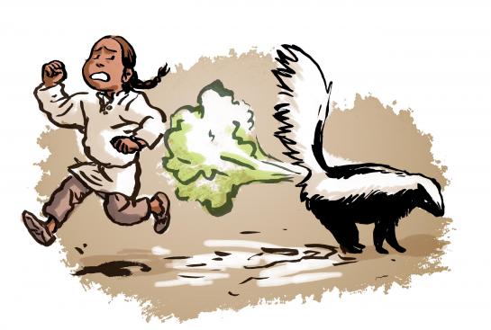 A skunk sprays Small Number