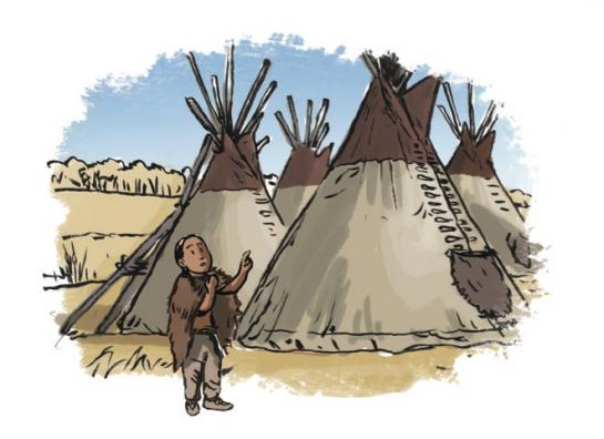 Small Number counts tipis