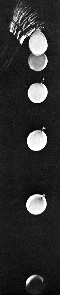 A water ballon in free fall is weightless A water ballon in free fall is weightless