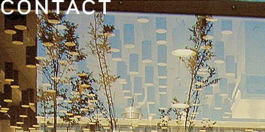 'Contact' & an abstract photo of a tree reflected in a window