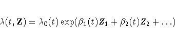 \lambda(t,Z) = \lambda_0(t)\exp(\beta_1(t)Z_1+\beta_2(t)Z_2 + ... )