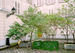 The Courtyard of 4bis