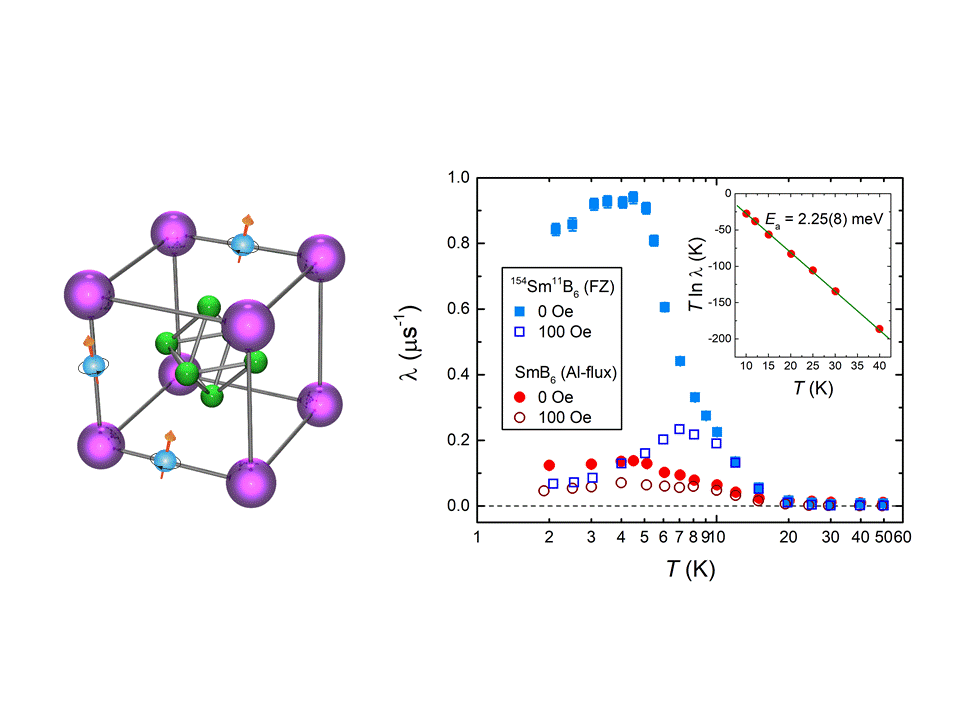 Spin fluctuations in the
             candidate topological Kondo insulator SmB<sub>6</sub>