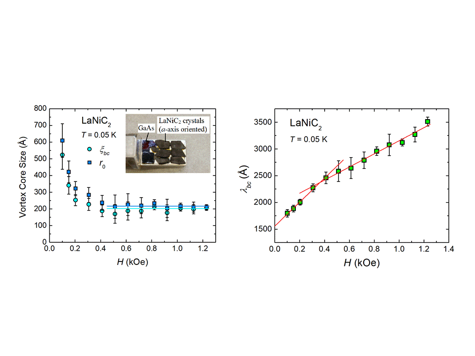 Two-gap superconductivity 
          in non-centrosymmetric LaNiC<sub>2<sub>