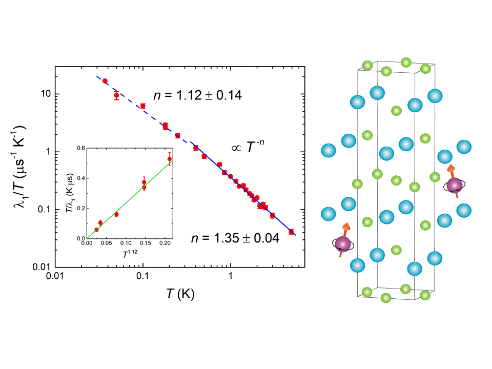 Ferromagnetic spin fluctuations
          in the candidate topological spin-triplet superconductor UTe<sub>2</sub>
