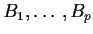 $B_1,\ldots,B_p$
