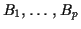 $B_1,\ldots,B_p$