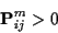 \begin{displaymath}{\bf P}^m_{ij} > 0
\end{displaymath}