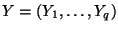 $ Y=(Y_1,\ldots,Y_q)$