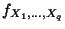 $ f_{X_1,\ldots,X_q}$