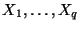 $ X_1,\ldots,X_q$