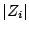 $ \vert Z_i\vert$