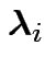 $ \boldsymbol\lambda_i$