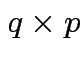 $ q \times p$