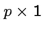 $ p \times 1 $