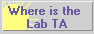 The Lab TA