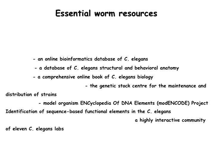                 Essential worm resources




WormBase- an online bioinformatics database of C. elegans
WormAtlas- a database of C. elegans structural and behavioral anatomy
WormBook- a comprehensive online book of C. elegans biology
Caenorhabditis Genetic Center- the genetic stock centre for the maintenance and distribution of strains
modENCODE- model organism ENCyclopedia Of DNA Elements (modENCODE) Project Identification of sequence-based functional elements in the C. elegans
British Columbia C. elegans Research Community-a highly interactive community of eleven C. elegans labs 

