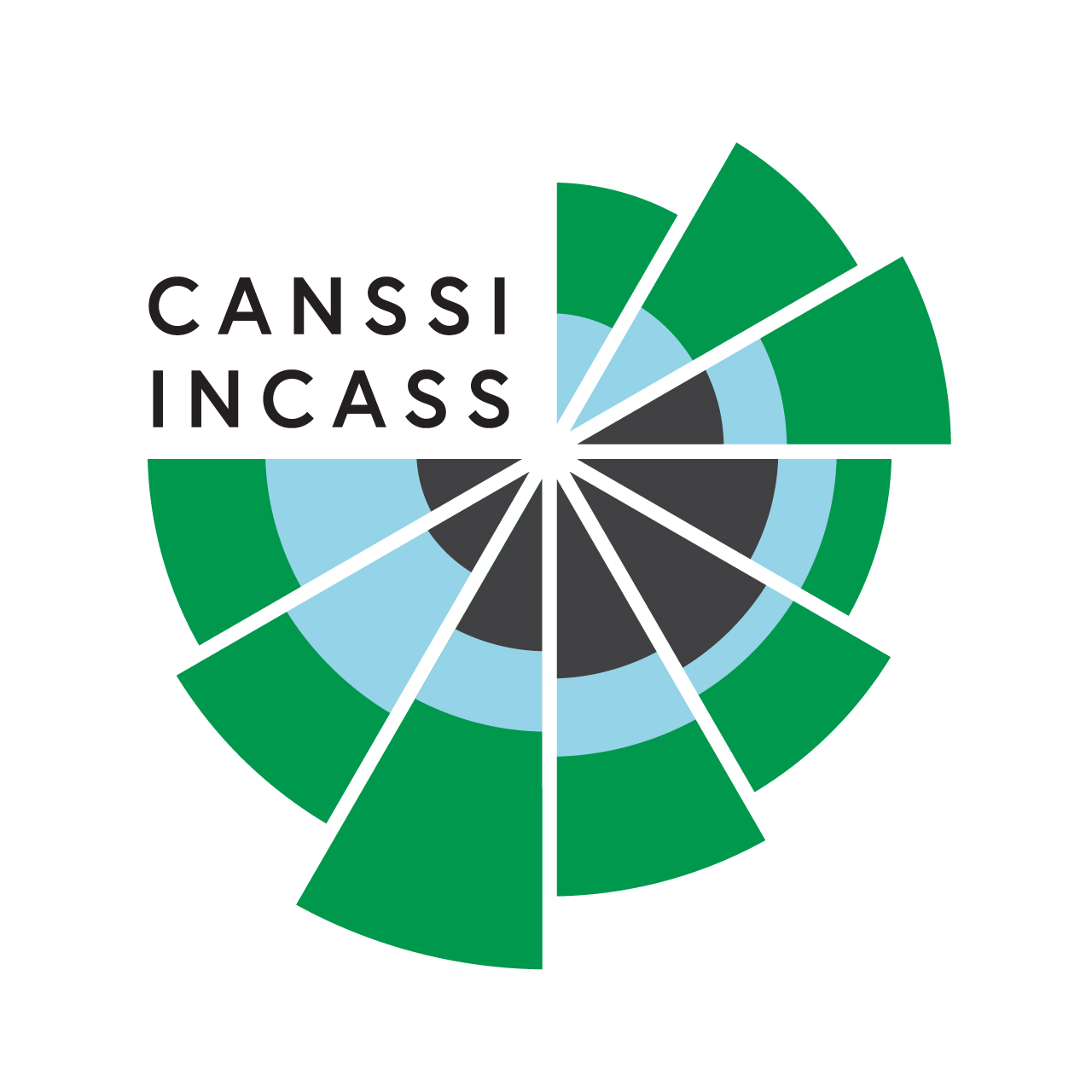 CANSSI - Canadian Statistical Sciences Institute