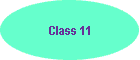 Class 11