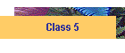 Class 5