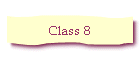 Class 8