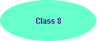 Class 8