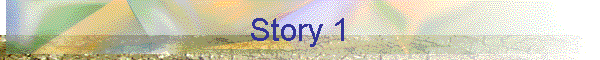 Story 1
