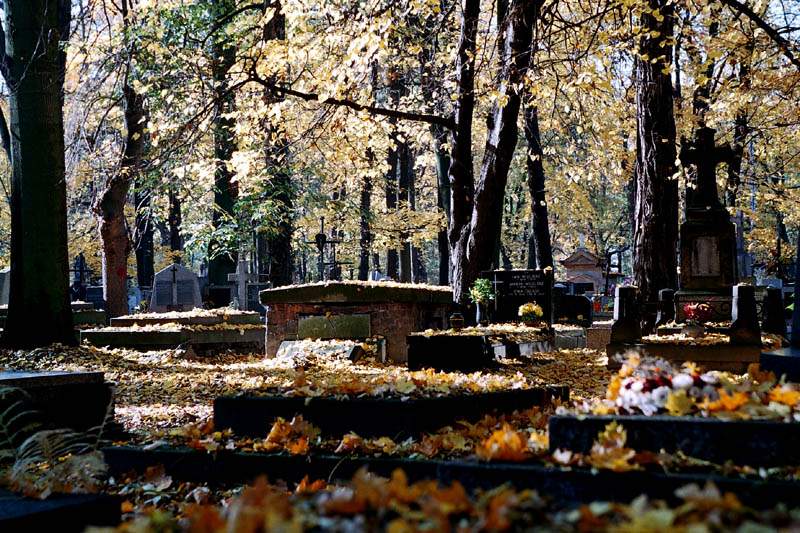 Autumn - old cemetery