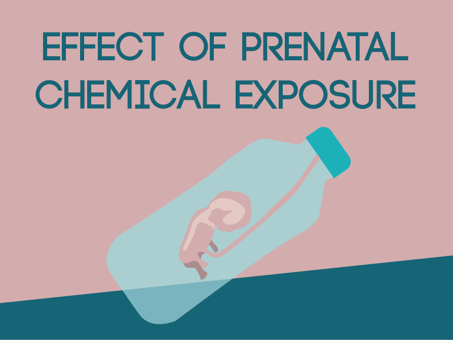Effect of Prenatal Chemical Exposure