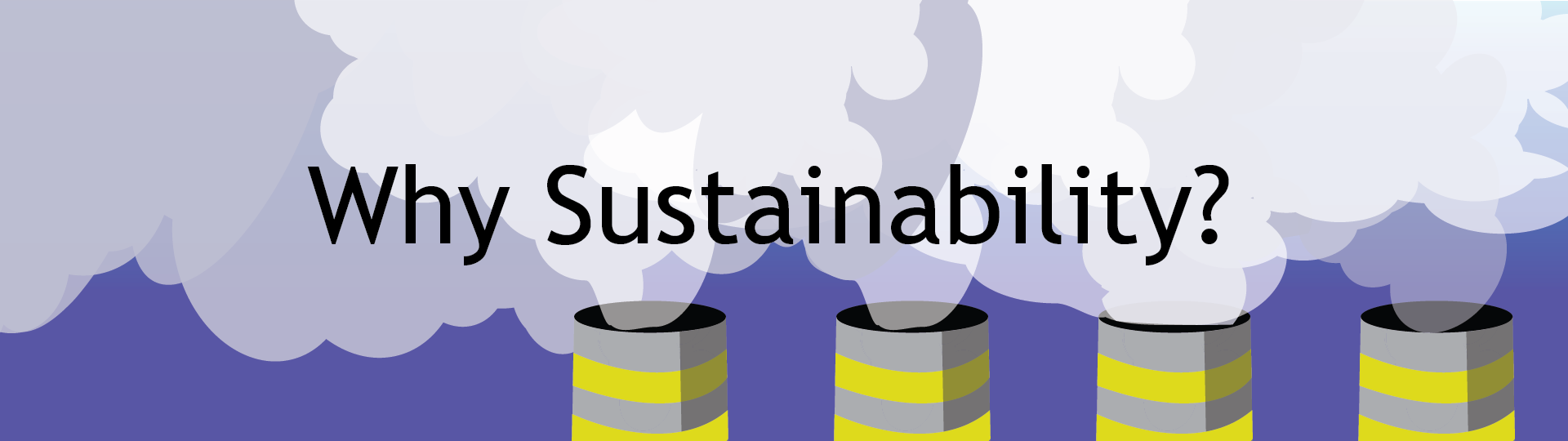 Why Sustainability