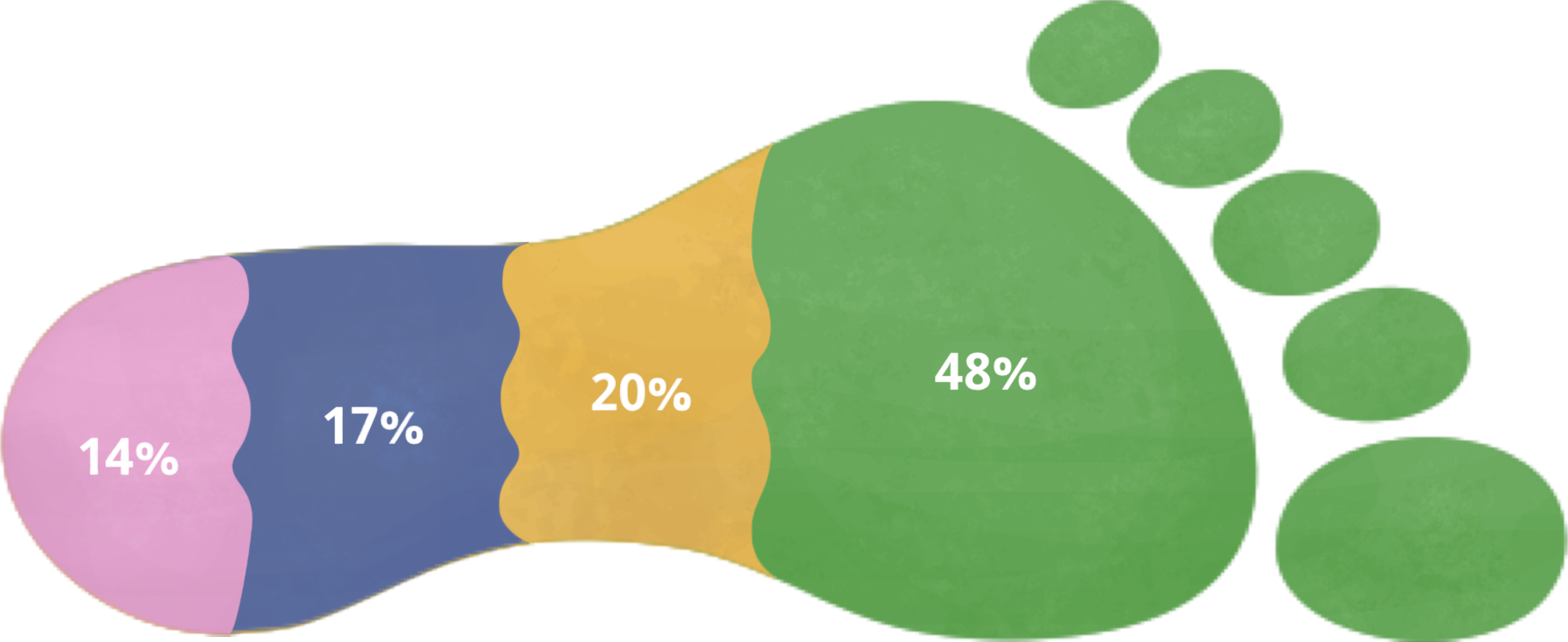 graph of causes of
          vancouver's ecological footprint