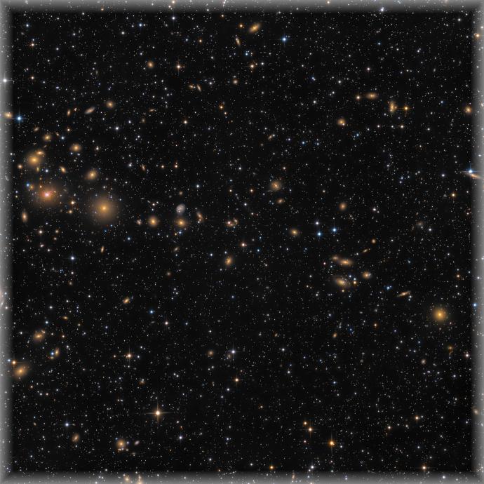 TrottierCITSOPelican2014