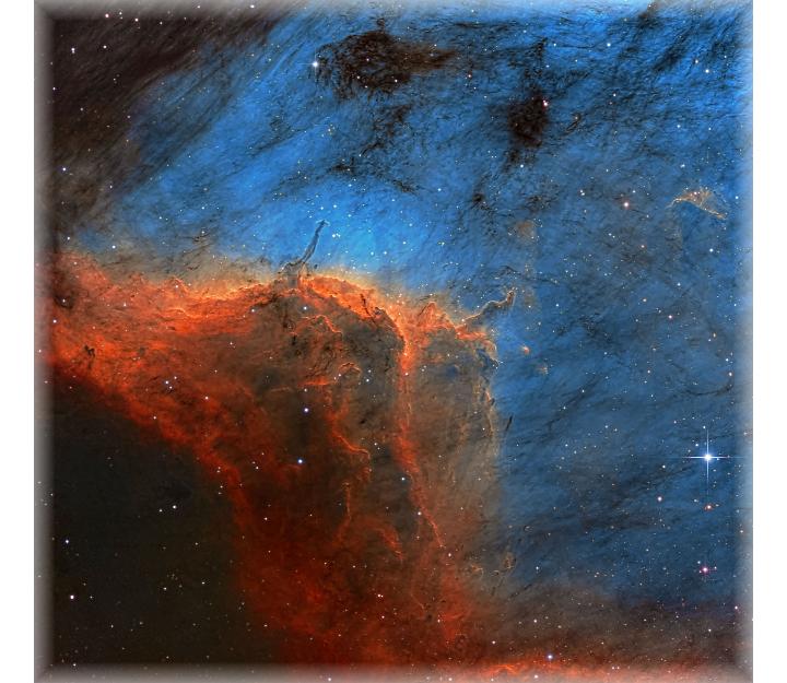 TrottierCITSOPelican2014