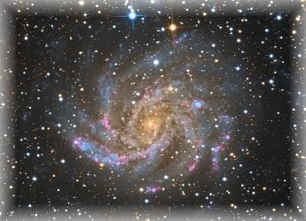 CITSONGC6946Aug2010a