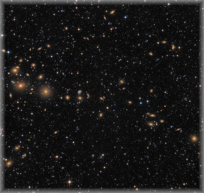 TrottierCITSOPelican2014