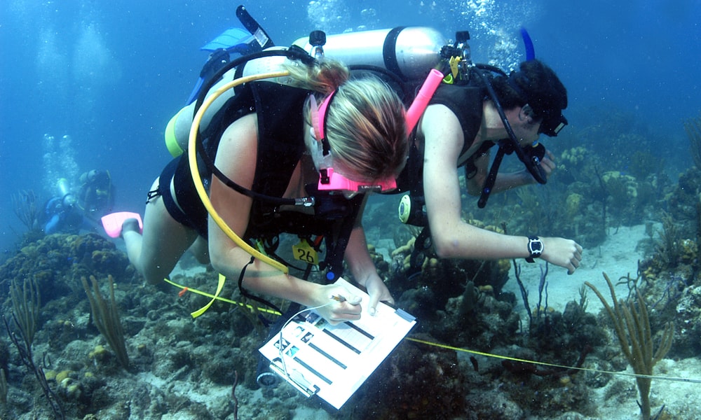 Three divers swimming underwater near the ocean floor while writing on a clipboard