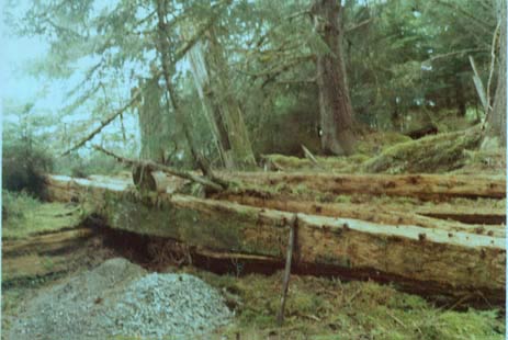 House remains at Kiusta , Haida Gwaii.