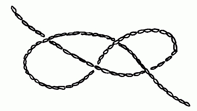 The Figure Eight Knot