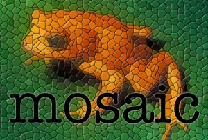 mosaic logo