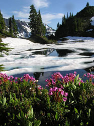 Alpine Lake