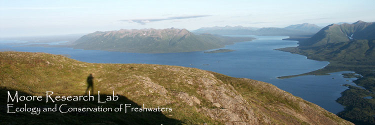 Jon Moore Mountain Shadow