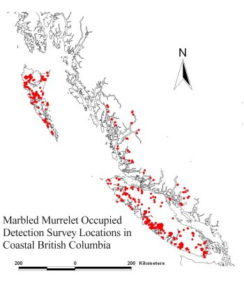 coccupied d map.jpg (22608 bytes)
