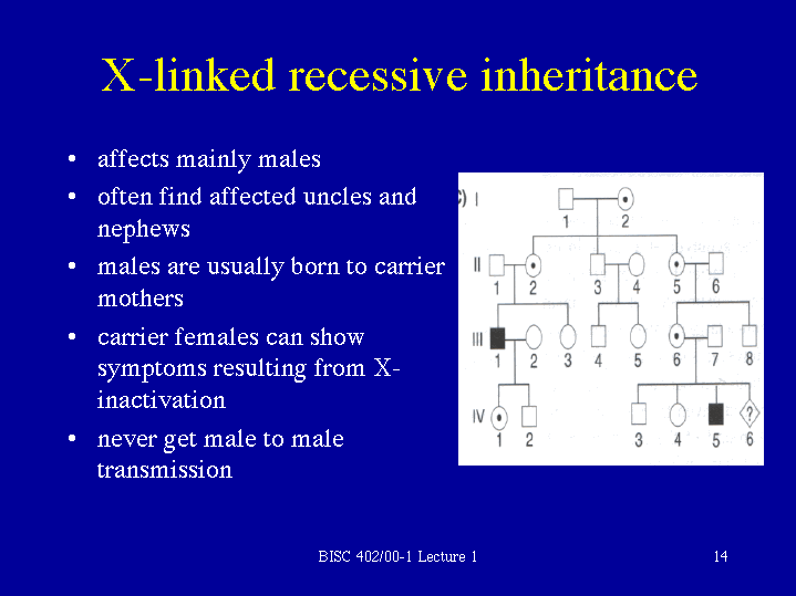 X-linked recessive inheritance