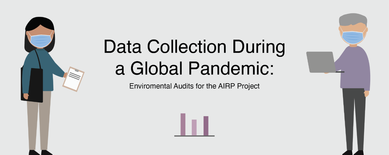Data collection in a pandemic: Environmental audits for the AIRP project