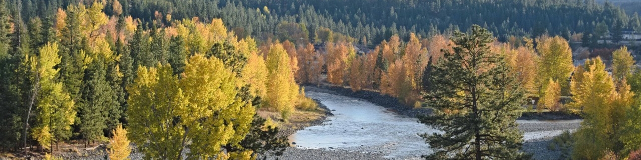 colourful fall trees along the river
