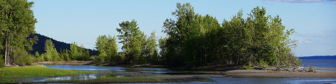 Shoreline landscape at Binche First Nation captured by Keenan Ribeiro