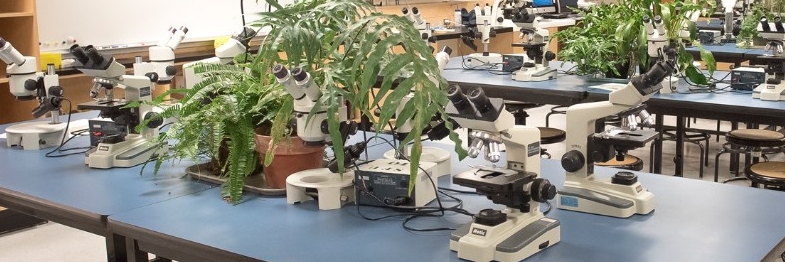 image of equipment in lab