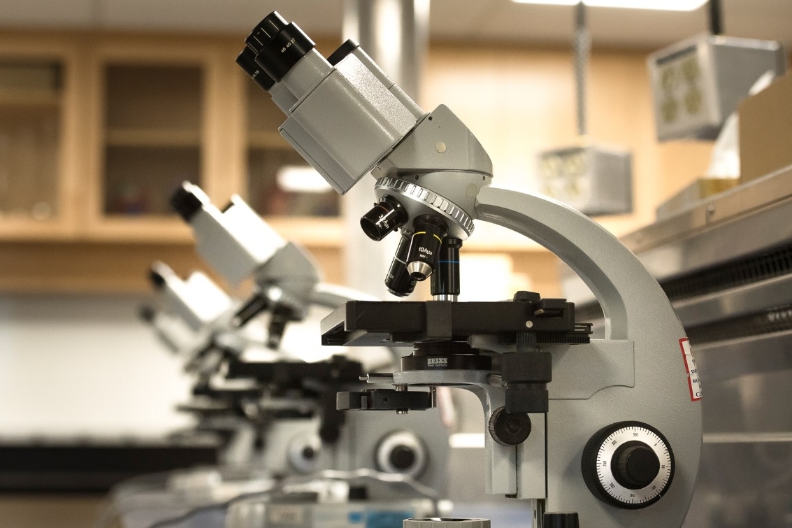 image of microscopes in lab