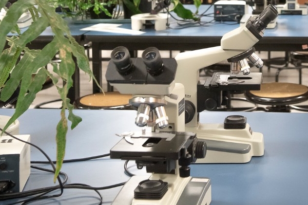 image of microscopes on table
