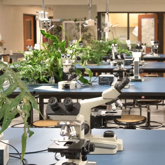 image of biology lab with microscopes